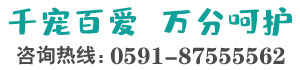 千宠百爱  万分呵护 昼夜呵护热线：021-8667 8888