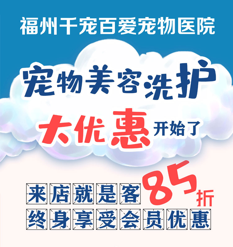 洗澡美容大优惠来了：洗澡美容终身85折！