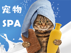超值亚星平台SPA美毛护理