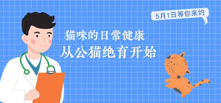 猫咪过得“滋润”的7大表