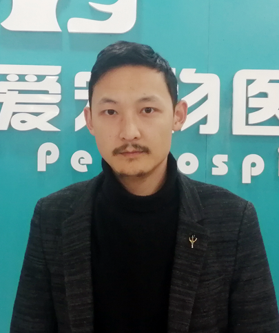 <b>丁家楠  主任医师</b>