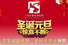 亚星会员官网2